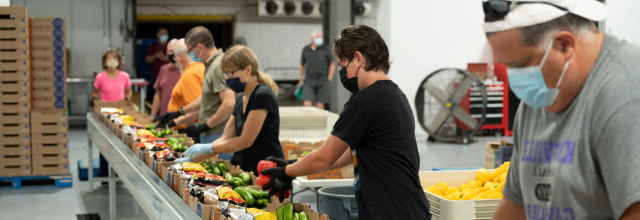 志愿者们准备了蔬菜和水果的盒子，分发给加拿大有饥饿经历的人. (Photo: Food Banks Canada)